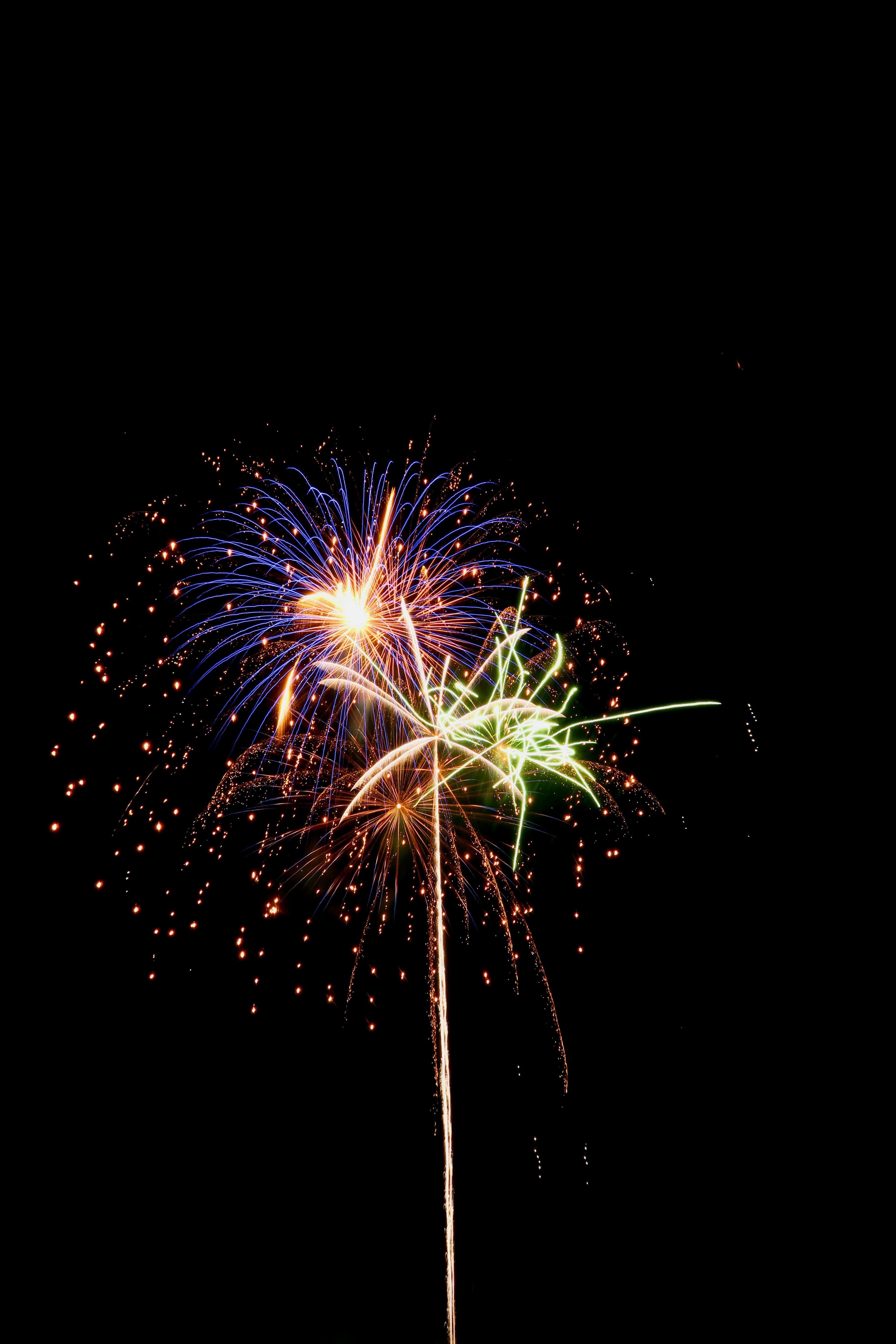 Chinese New Year