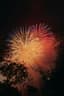 New Year's Day