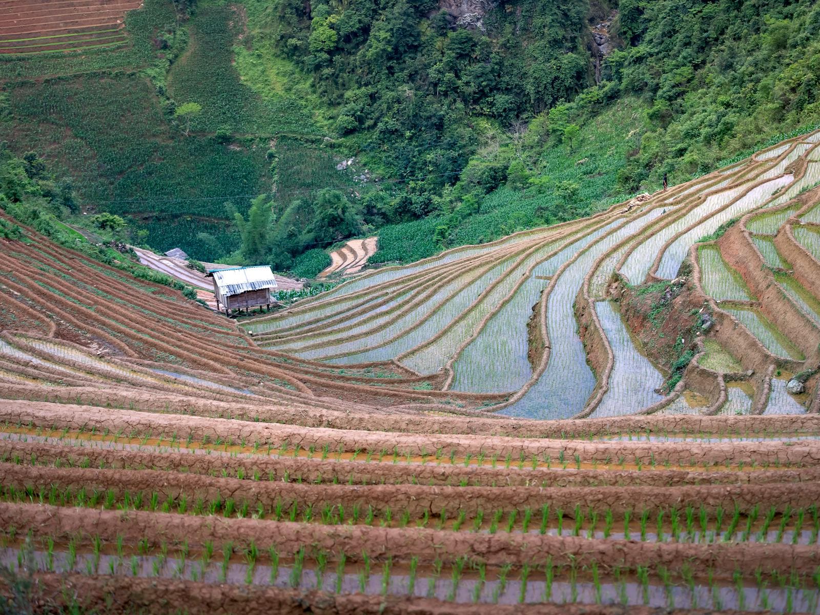 Labor Day (Vietnam)