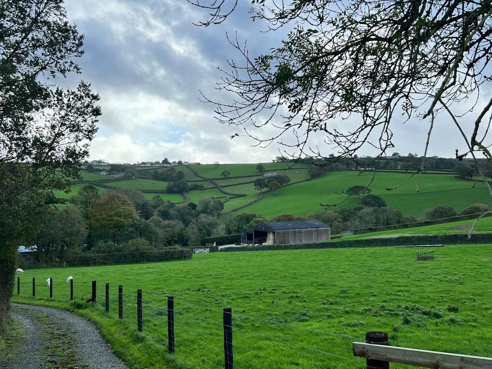 Spring Bank Holiday