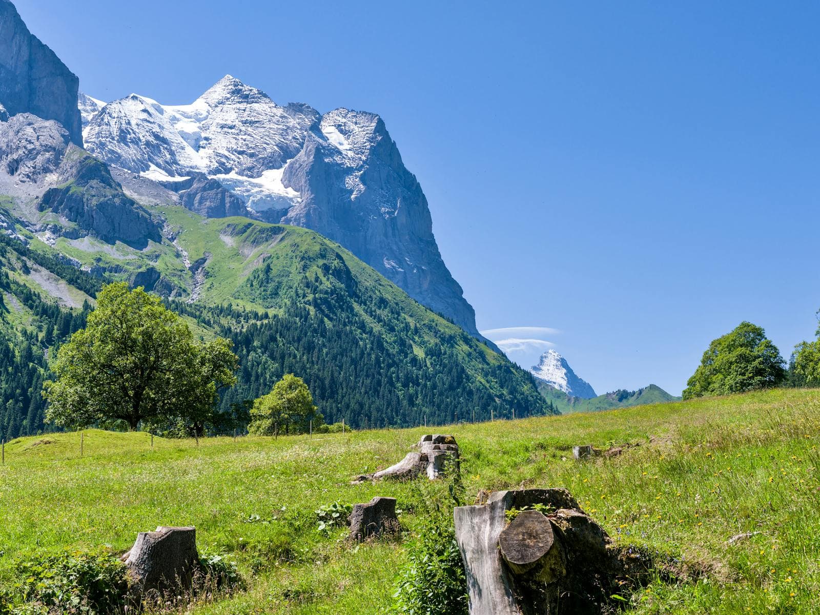 Swiss National Day