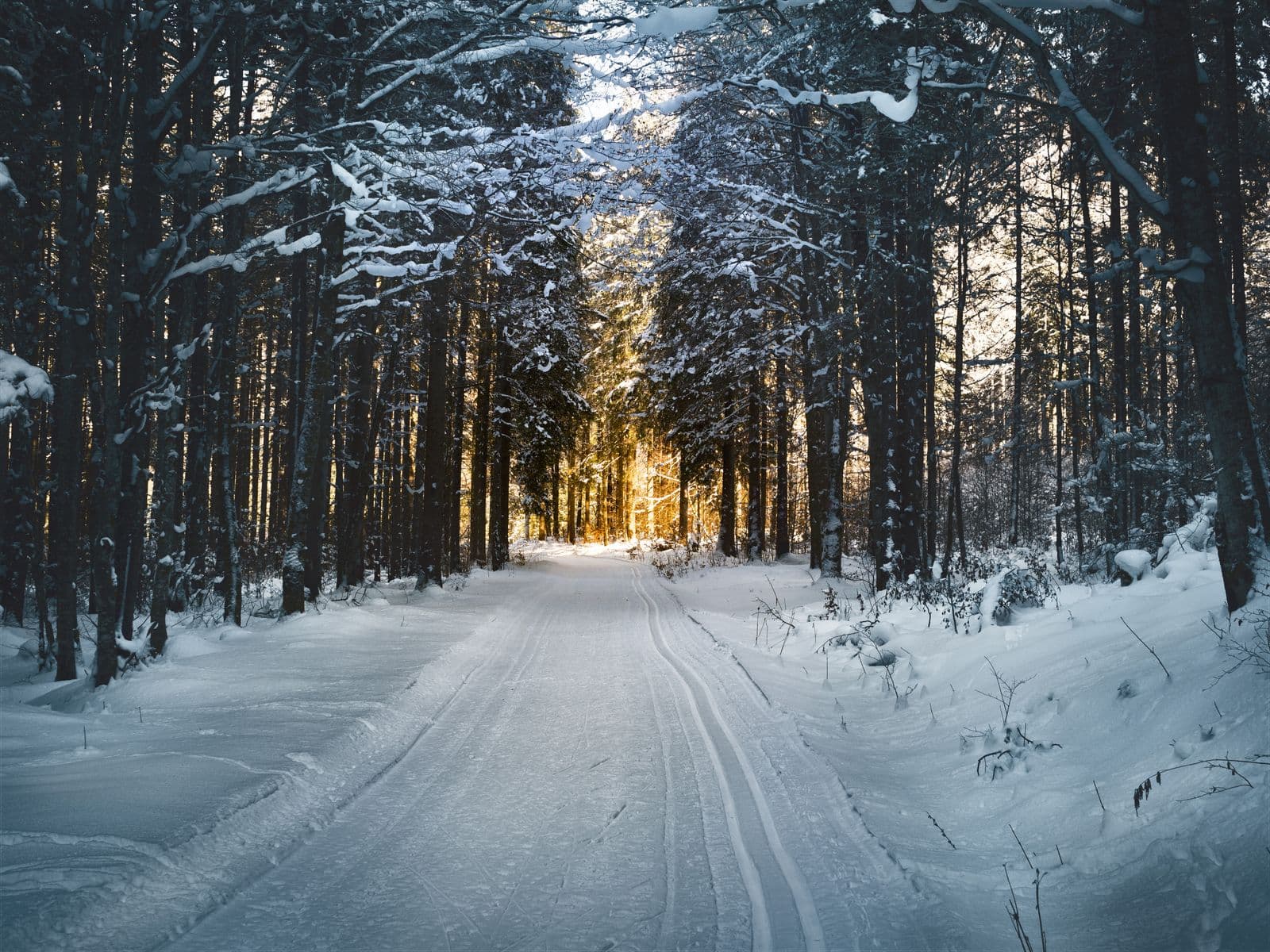 December Solstice